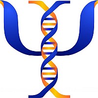 cabinet de psihologie