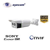 camere supraveghere ip