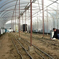 constructii agricole