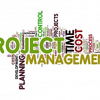 consultanta manageriala