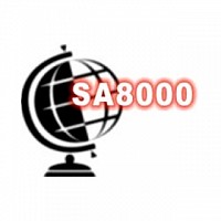 consultanta sa 8000