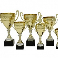 cupe sportive