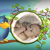 fotografii botez