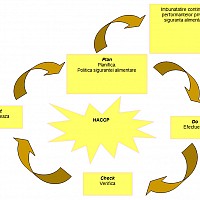 implementare sistem management