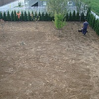 insamantare de gazon