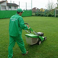 intretinere peluze gazon