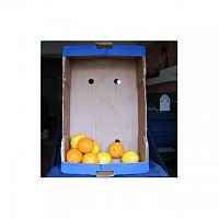 ladite carton