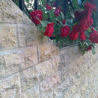 piatra naturala scapitata cork