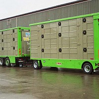 remorci transport animale