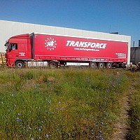 camioane transport
