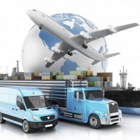 transport marfa anglia