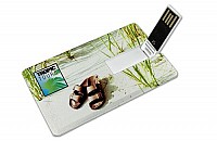 USB card personalizat