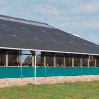 Proiectare si constructii agricole - hale structuri lemn, metal, grajd, adapost ferme zootehnice