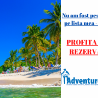 ”Nu am fost peste tot, dar este pe lista mea” – Susan Sontag