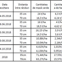SEMINTE DE LUCERNA DOBROGEA DRAJATA, SAC 10 KILOGRAME
