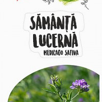 DOBROGEA PreBaza (seminte de precizie)