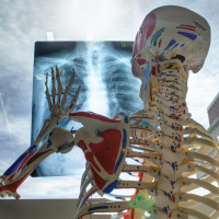 AHR - Traducere de limbi straine si retroversiune pentru Recruiter Medical Science