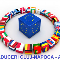 English, French, Italian, Spanish, Portuguese and Romanian translator  *** AHR Cluj-Napoca +40729098410