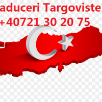 Traduceri acte auto Targoviste & Ploiesti  +40721444904 +40729098410 Traduceri acte tipizate  -20% discount