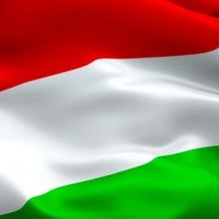 Traduceri Targu Secuiesc - AHR Traduceri acte cu livrare acasa