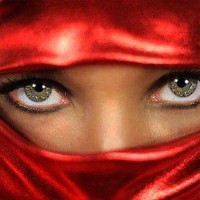 Traducator autorizat Greaca, Turca si Araba - traduceri acte