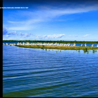 Plimbare cu barca in Delta Dunarii din Mahmudia sau Tulcea