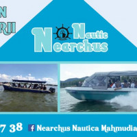 Excursii peste tot in Delta Dunarii!