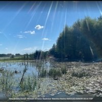 Excursii Delta Dunarii din Mahmudia