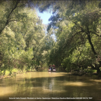 Croaziera Delta Dunarii