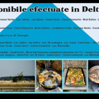 Trasee Delta Dunarii din Mahmudia, judetul Tulcea