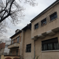 Vopsit sageac  si pazie