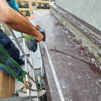 Montaj tepi porumbei