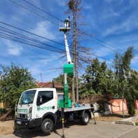DEFRISARE SI DOBORARE CONTROLATA ARBORI – A.U.R. ALPIN MEDIA