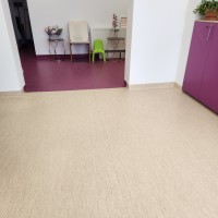 Covor din PVC omogen Tarkett IQ Optima- Linoleum