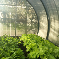 Sera ENERGON 3X din policarbonat celular, transparent, 4 mm