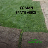 Rulouri de gazon natural