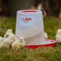 Furaje si Concentrate UBM FEED