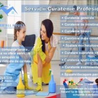 Servicii profesionale de curatenie