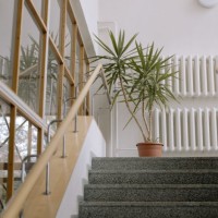 Servicii de curatenie in Asociatii de Locatari