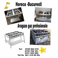Aragaze inox gaz profesionale