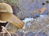 Spalari industriale platforme/hale, etc.: