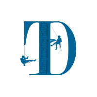 SC Dual Tactic Grup SRL angajeaza