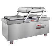 Masina de ambalat in vid model 2008