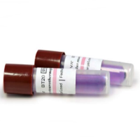 Indicator biologic sterilizare abur (autoclav) - Geobacillus Stearothermophilus Atcc 7953