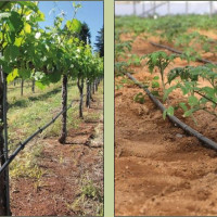 FURTUN 20/30/40/50cm PICURARE=Role 50/100/400ml;Debit 2-4l/h