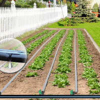 BANDA PICURARE 6mil/8mil,Role100m,200m,500m,3048m;Picurare10cm,20,30cm