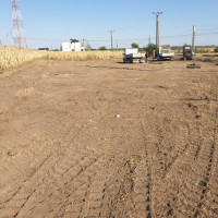 Curatare Defrisare Teren Tocator Ambrozie