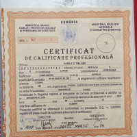 Constructie, mentenanta, curatare cosuri fum si seminee