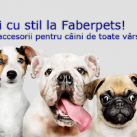 Plimbari cu stil la Faberpet!