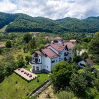 Transylvanian Inn Vila in Predelut, Bran